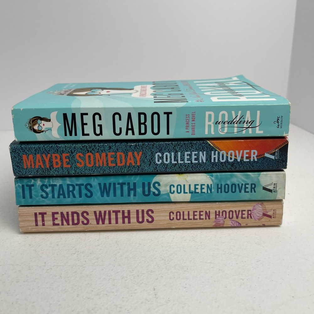 Lot of 4 Booktok Fun Books