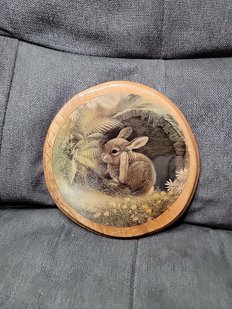 Vintage Bunny Wooden Plaque New Condition.