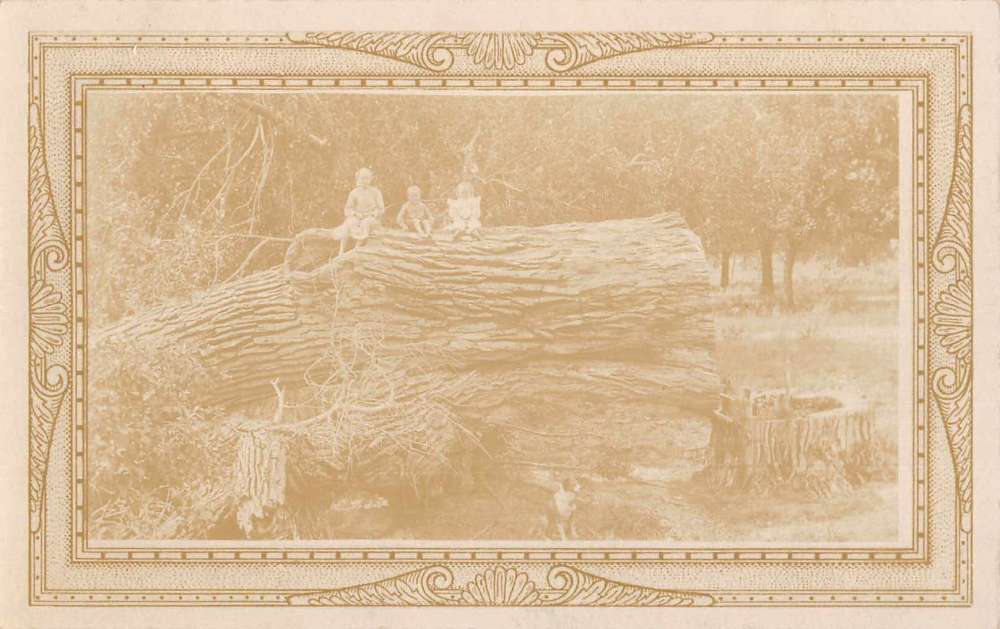 Gorham Massachusetts Children On Fallen Tree Real Photo Antique Postcard K73019