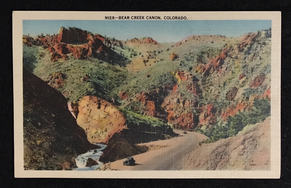 VTG Bear Creek Canon, Colorado Photographic Post Card Ancient Fallen Giant Tree