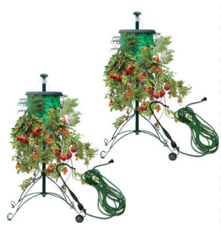 Vintage Topsy Turvy Deluxe Upside Down Tomato Tree Planter 5' Stand Water Cane