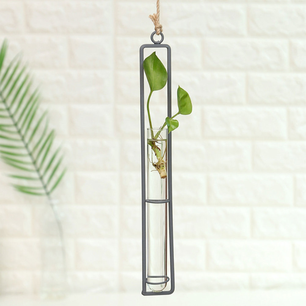 Clear Hanging Hydroponic Glass Terrarium Plant Vase for Indoor Greenery