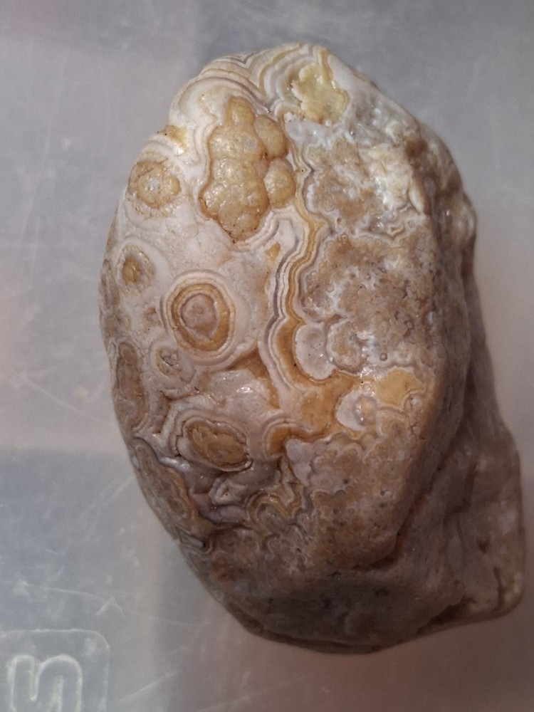 Nebraska Fairburn Agate