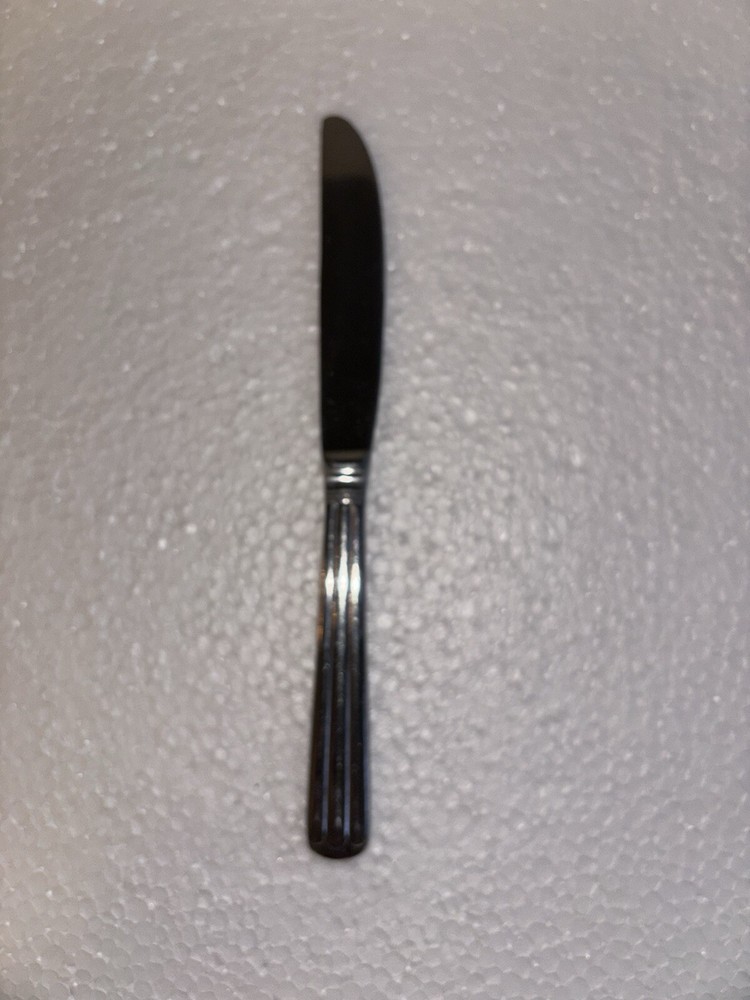 Wallace Indonesia Summerset Frost Stainless Steel Dinner Knife