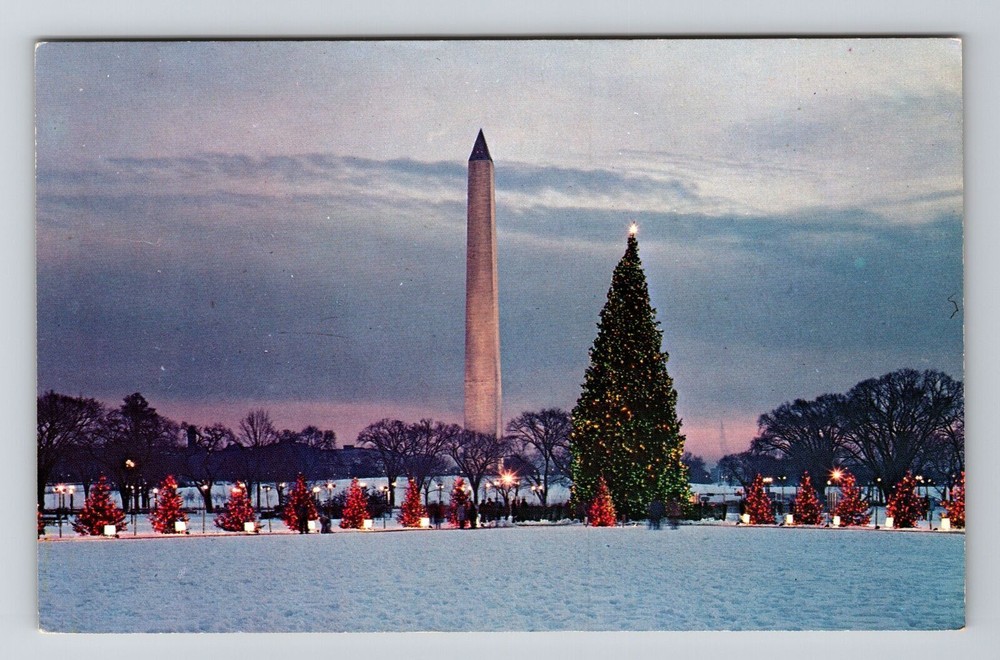 D.C-Washington D.C, The National Christmas Tree, Winter, Vintage Postcard