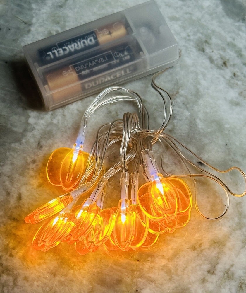 Seasonal Col 10 LED Lights For Indoor Total Length 3 Ft. Lighted 2ft Pumpkin-image