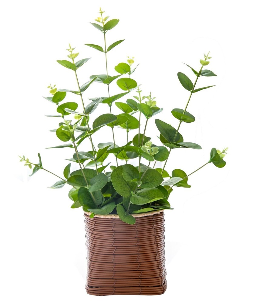 Artificial Plant Indoor 16 Inche Eucalyptus Leaf Fake Plants in Coffee Metal ...