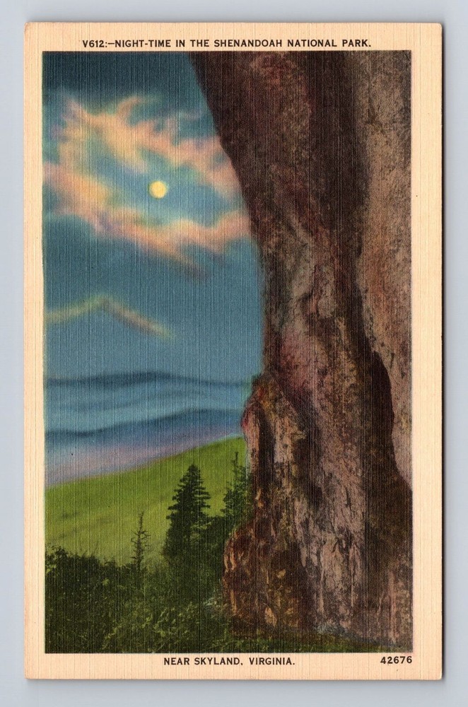Shenandoah National Park, Near Skyland, Series #V612, Vintage Souvenir Postcard
