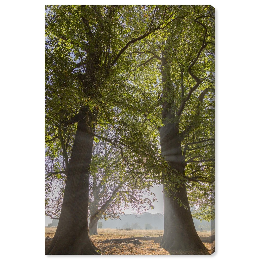 The Oliver Gal Artist Co. Floral and Botanical Wall Art Canvas Prints 'Curro ...