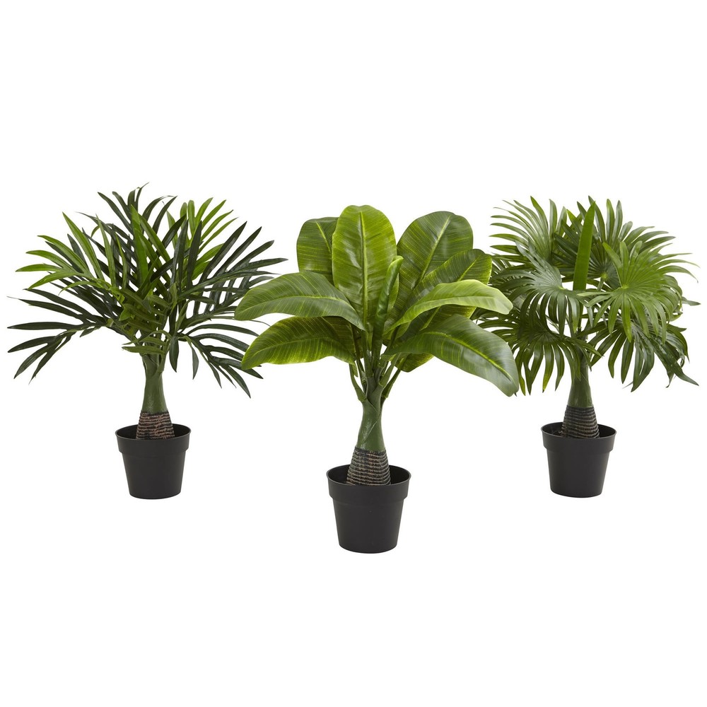 Areca Fountain and Banana Palm Set of 3 Green Indoor Plants