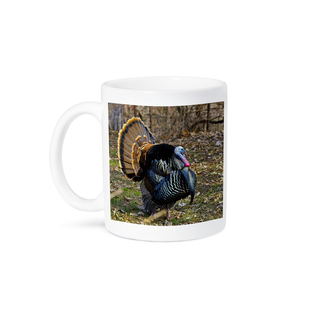 3dRose Minnesota Mendota Heights Wild Turkey Displaying Coffee Mug