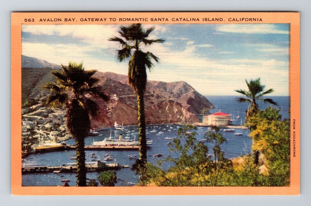 Santa Catalina CA-California, Avalon Bay, Vintage Postcard
