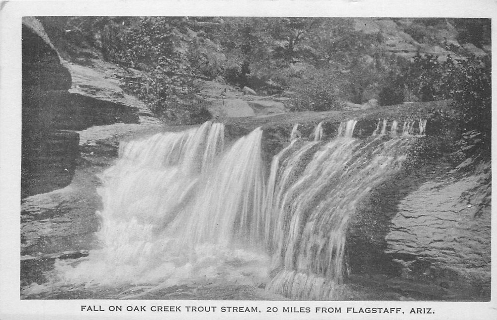 1920s Sedona Flagstaff Arizona Fall Oak Creek Trout Stream Postcard 25-11755