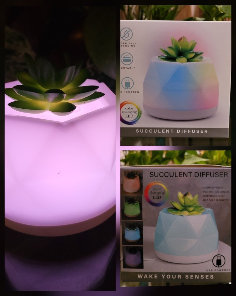 Succulent Color-Changing Night Light Lamp Waterless Essential Oil Diffuser Aroma