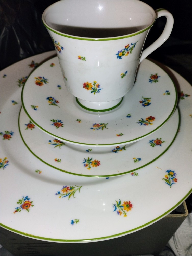 Vintage International Fine China (Fleurette 470 Pattern) Dish Set