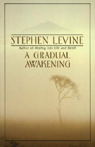 A Gradual Awakening - Paperback By Levine, Stephen - GOOD