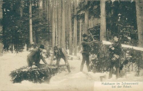 Postcard Wood Cutters in the Black Forest at Work around 1900 (No.9213)