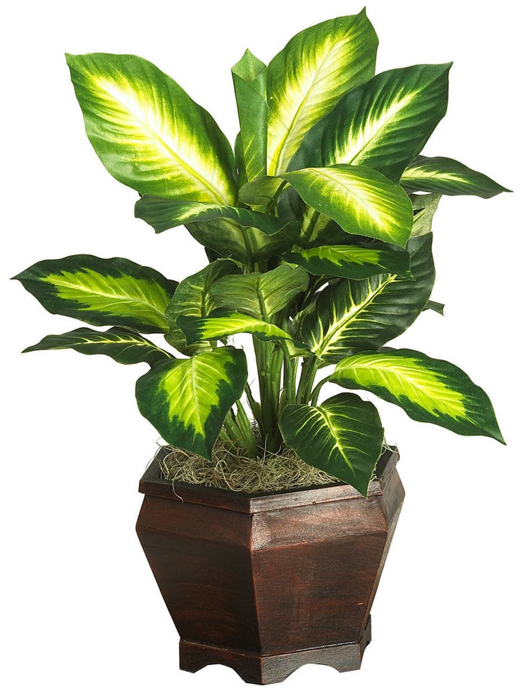 Golden Dieffenbachia Silk Plant in Wooden Vase
