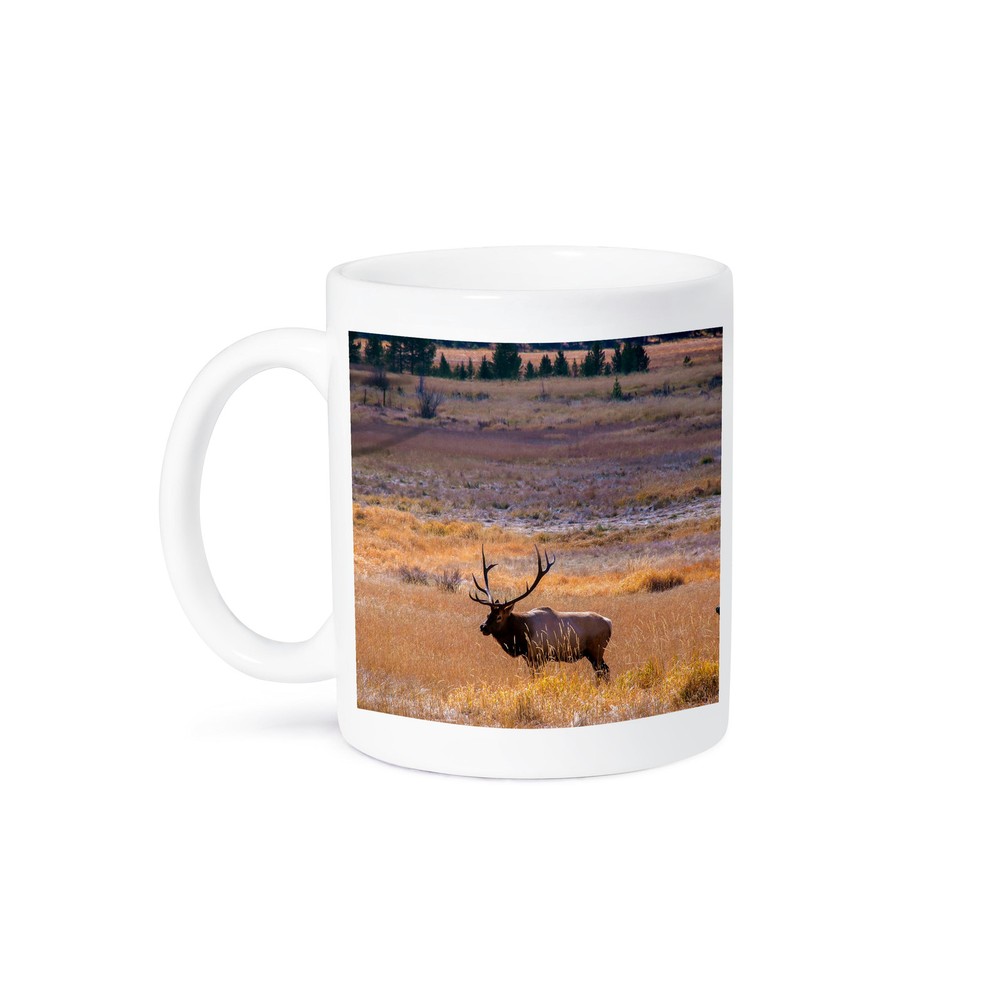3dRose, USA, Colorado. Elk in Rocky Mountain National Park., Mug