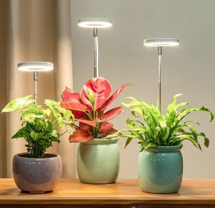Indoor Plant Growth Light, 1 Count USB Powered LED Height Adjustable Plant Light