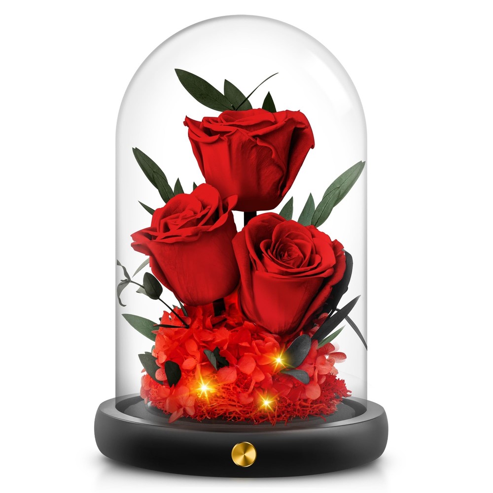 Valentines Day Preserved Rose in Glass Dome Gift with Real Roses