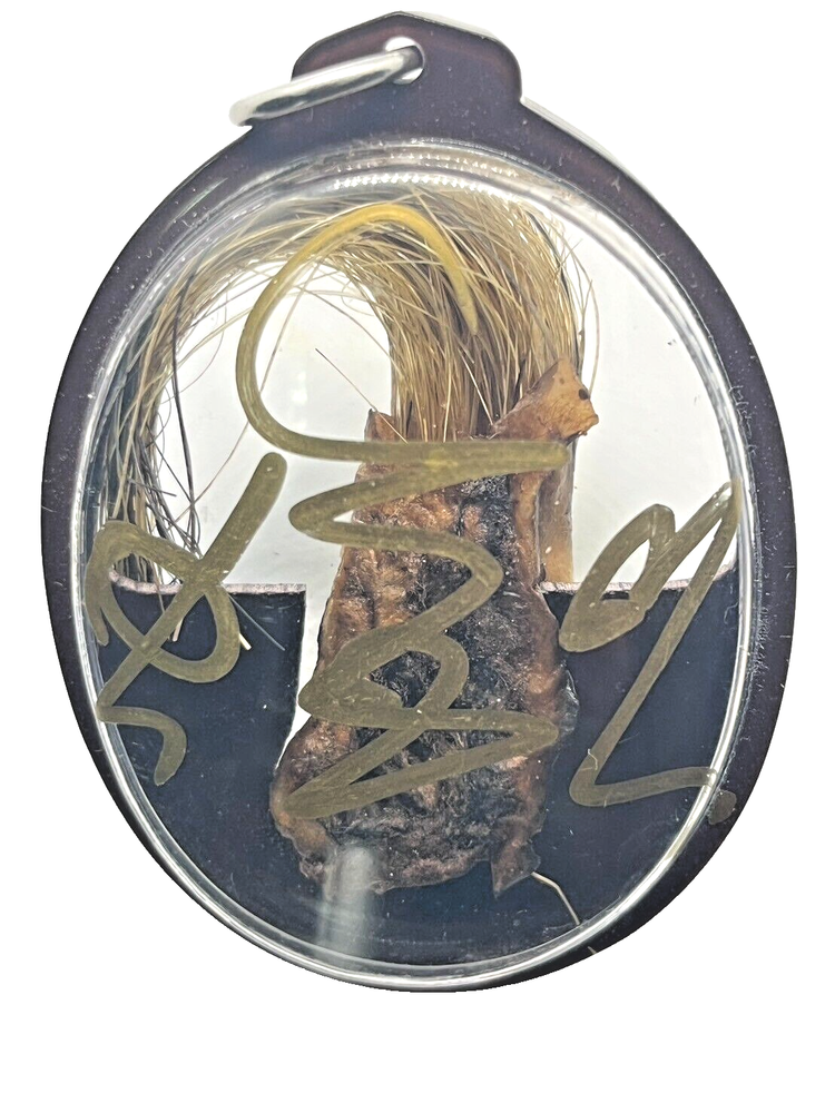 Chong Boar Amulet Talisman PROTECTION Thai Artifact Rare POWERFUL Luck Charm