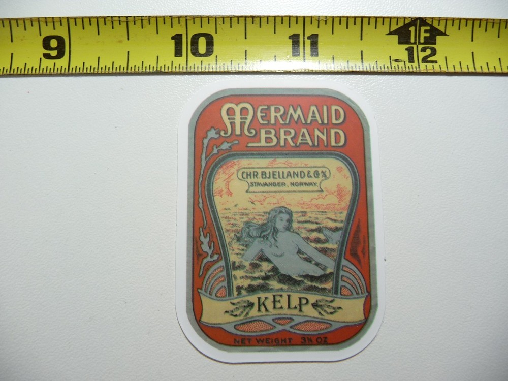 MERMAID KELP DECAL STICKER WITCHCRAFT POTION SPELL WITCH GOTH LABEL FUNNY