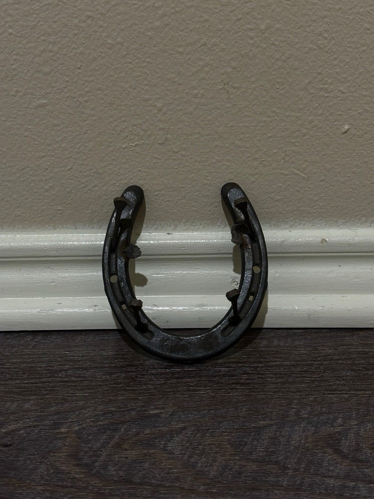 Vintage Rustic Horseshoe Wall Coat Rack for Hats and Jackets  