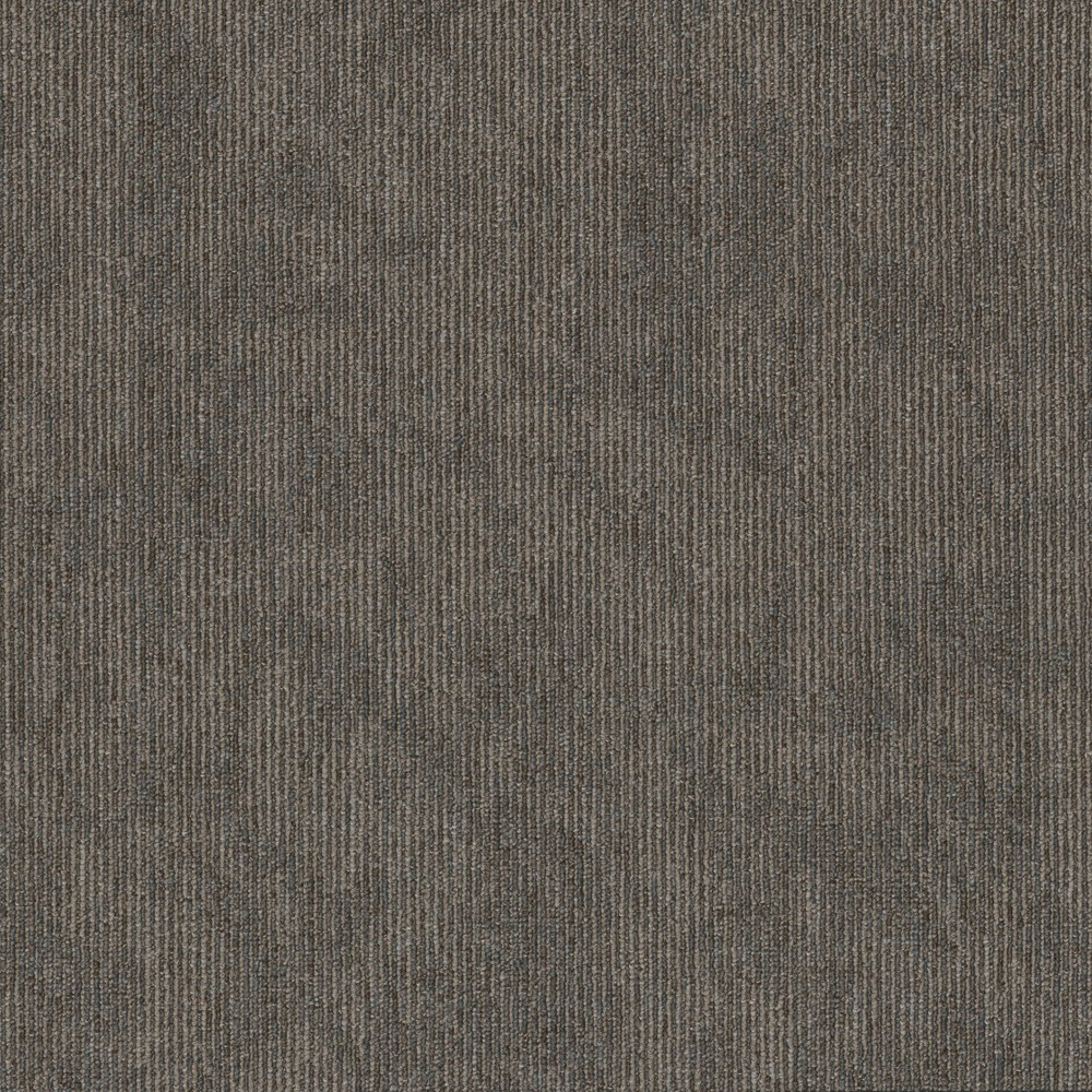 Shaw 54956 Contender 24