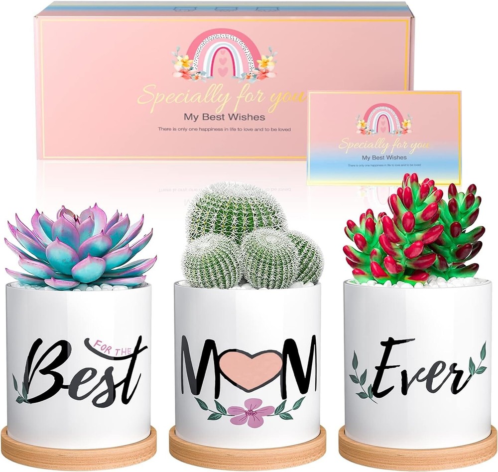 Mothers Day Birthday Gift Box 3 Small Ceramic Succulent Pots Best Mom Ever-image