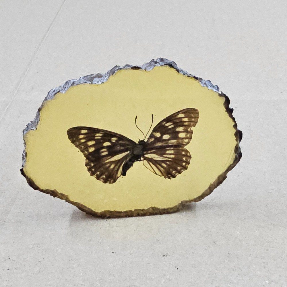 Paperweight Made Of Resin With Embedded Butterfly 10Cm