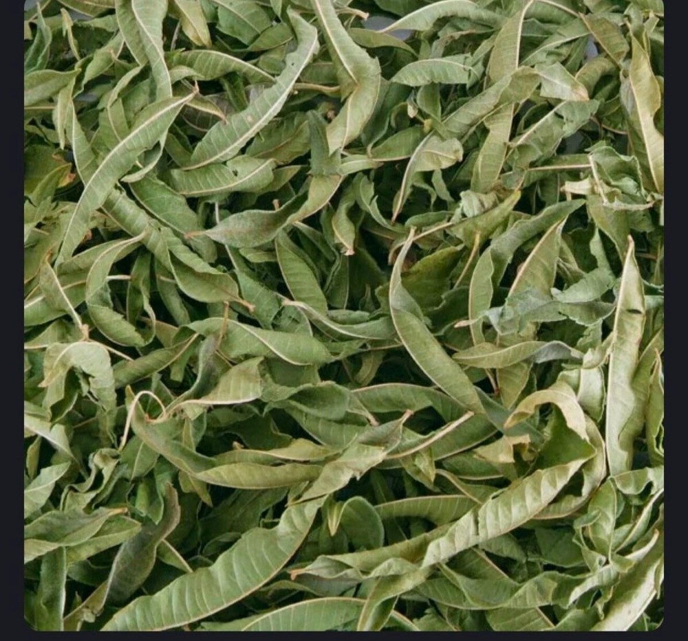 Natural Herbs || Dried Melissa | 200 g|  ورق مليسة  | اعشاب