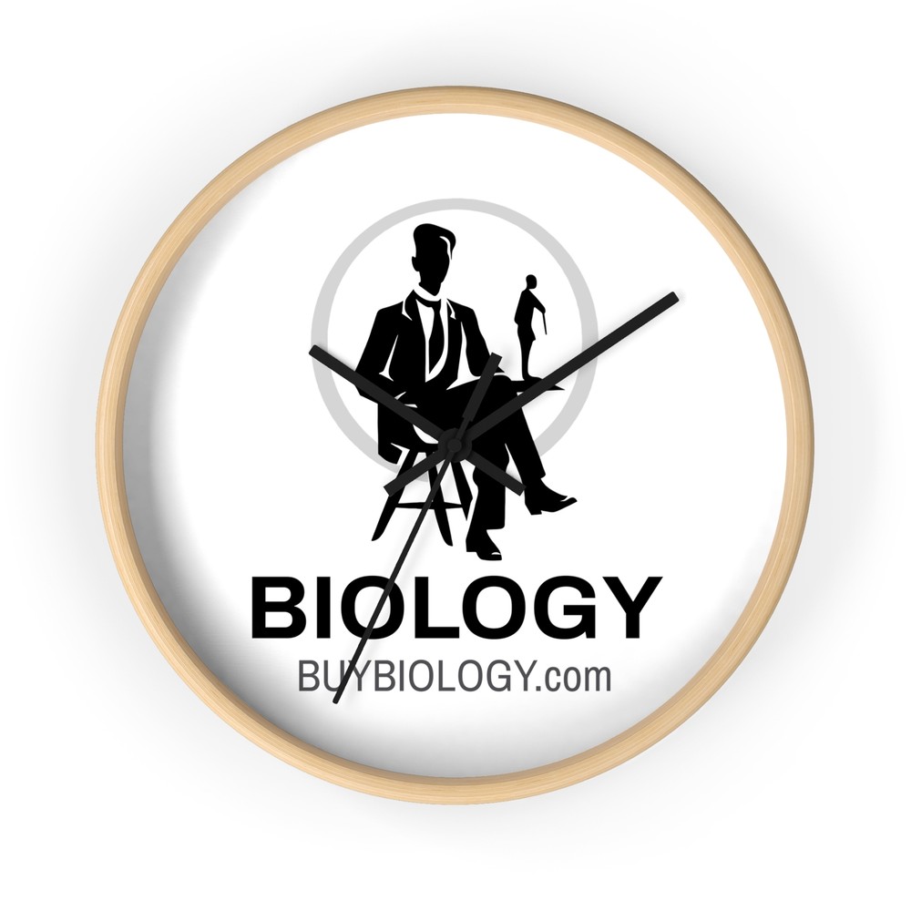 Eco-Friendly Wooden Wall Clock with Silent Movement