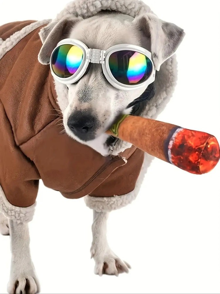 Funny Design Grinding Teeth Squeaky Cigar Plush Toy For Small Medium Dog