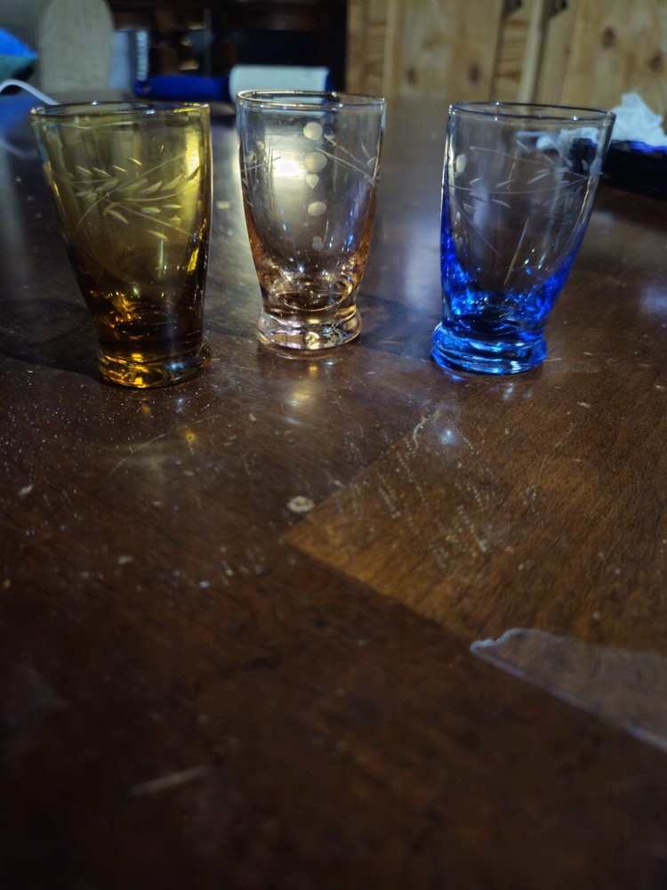 MCM Etched Shot Glass Set of 3 in Blue Rose Amber Vintage Style