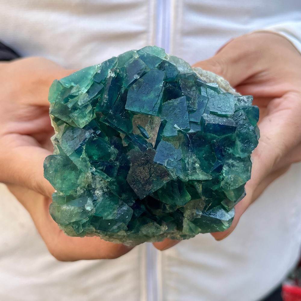 1.2LB Natural Green Fluorite Quartz Crystal Cluster Mineral Specimen