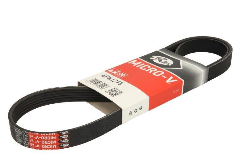 GAT - Multi Ribbed Belt for Fiat Bravo II, Ford Fiesta III, GAZ GAZELLE Furgon