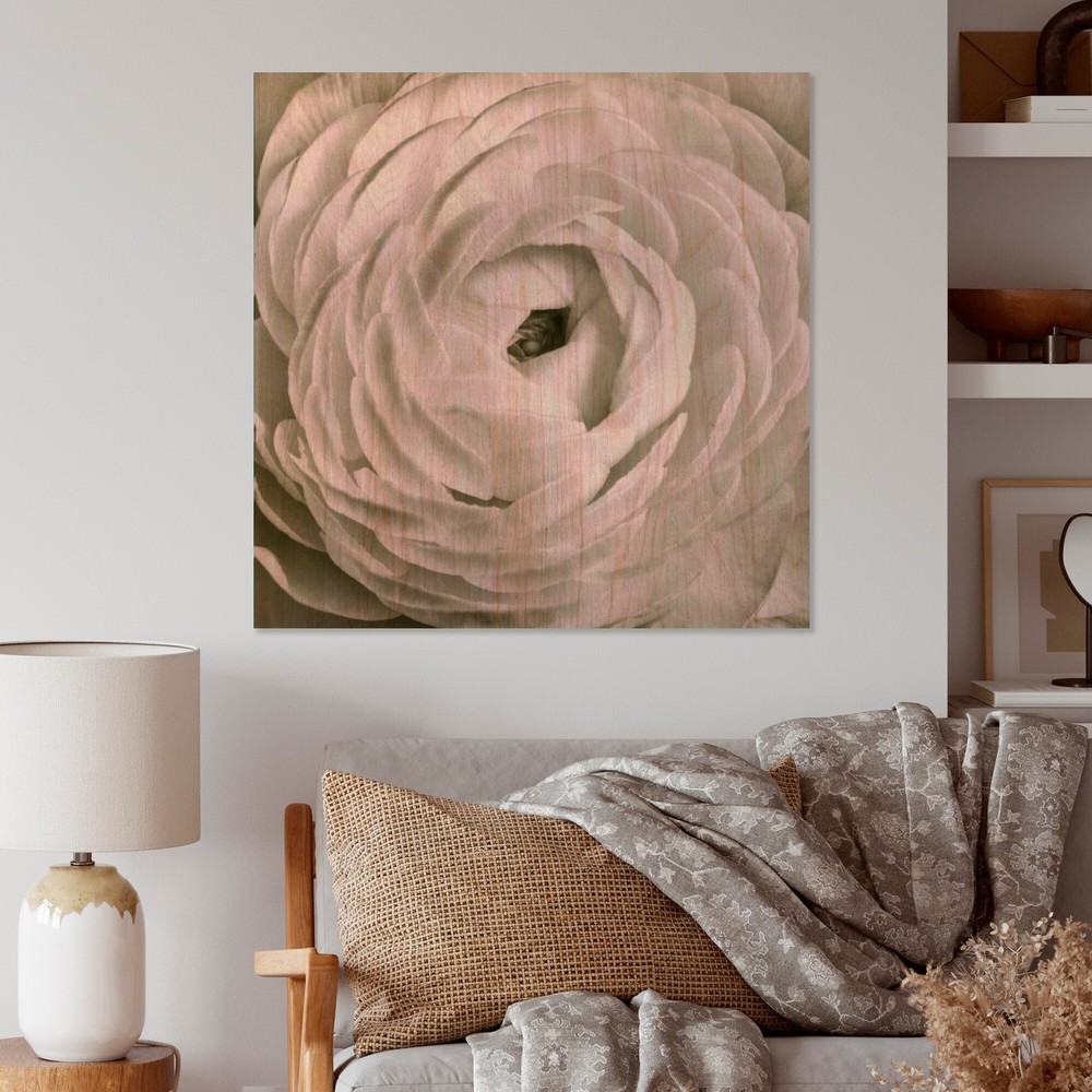Designart 'White Rannunculus Close Up' Vintage Wood Wall Art Panels - Natural
