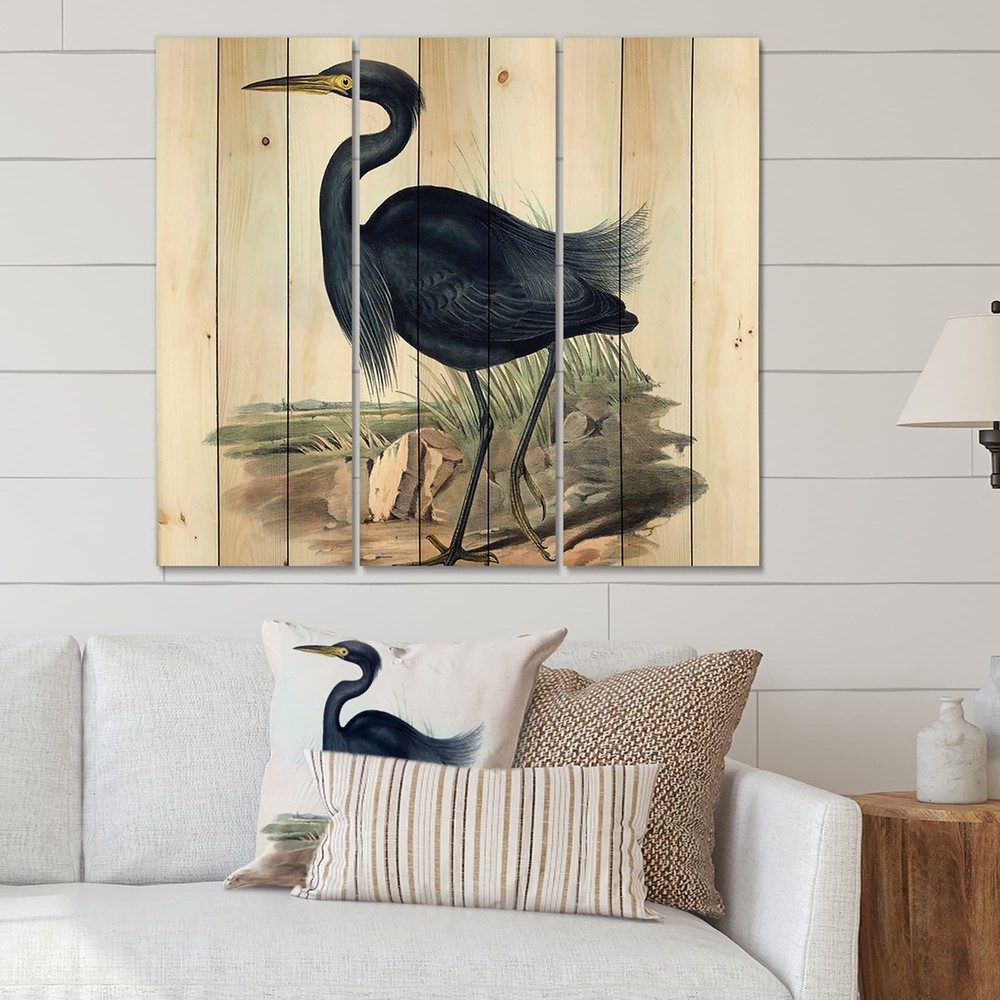 Designart 'Vintage Australian Birds III' Traditional Print