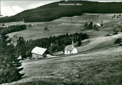 Ansichtskarte Titisee Schwarzwald Gasthaus Heiligenbrunnen  (9950)