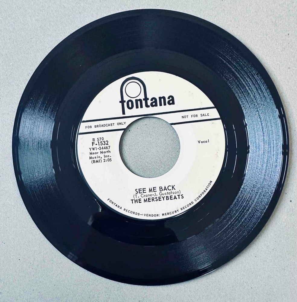 Rock 45 Promo The Merseybeats - See Me Back/I Love You, Yes I Do * Fontana