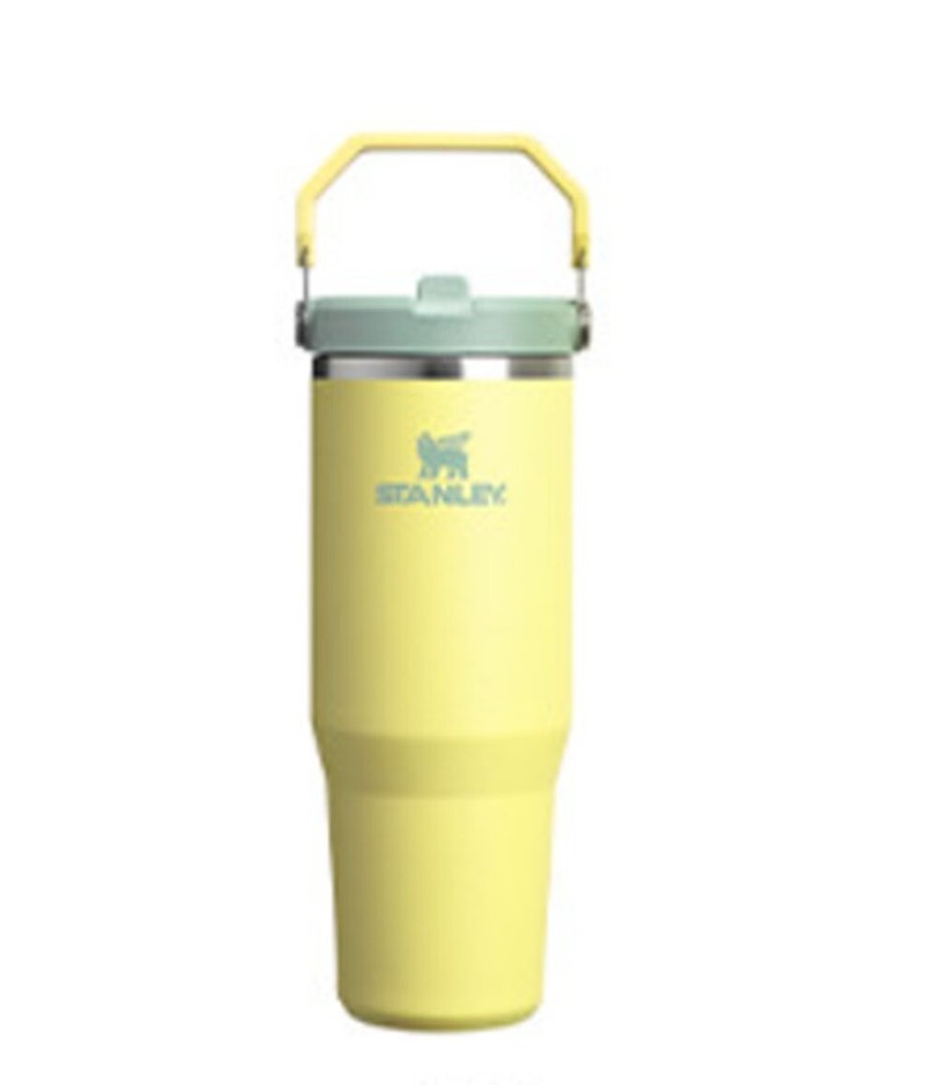 Stanley Iceflow Flip Straw 2.0 30oz Tumbler in Pomelo