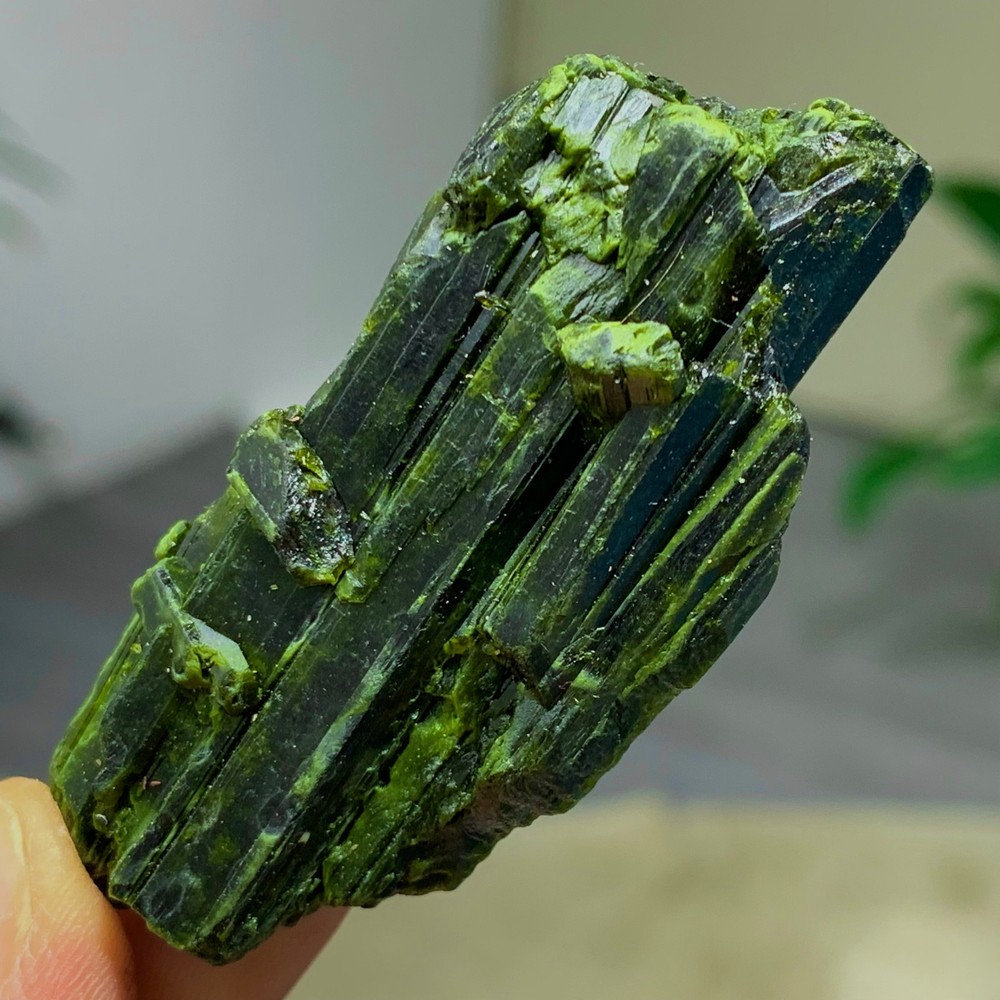 35G Rare! Natural green tourmaline quartz crystal cluster mineral specimen