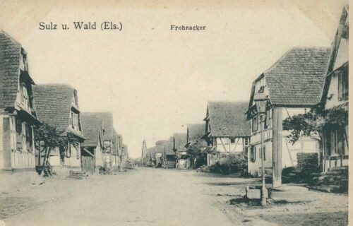 Ansichtskarte Sulz und Wald Frohnacker um 1900 Elsass