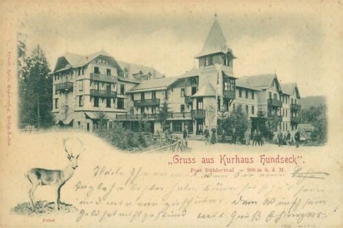 Ansichtskarte Kurhaus Hundseck Bühlertal 1899 (Nr.792)