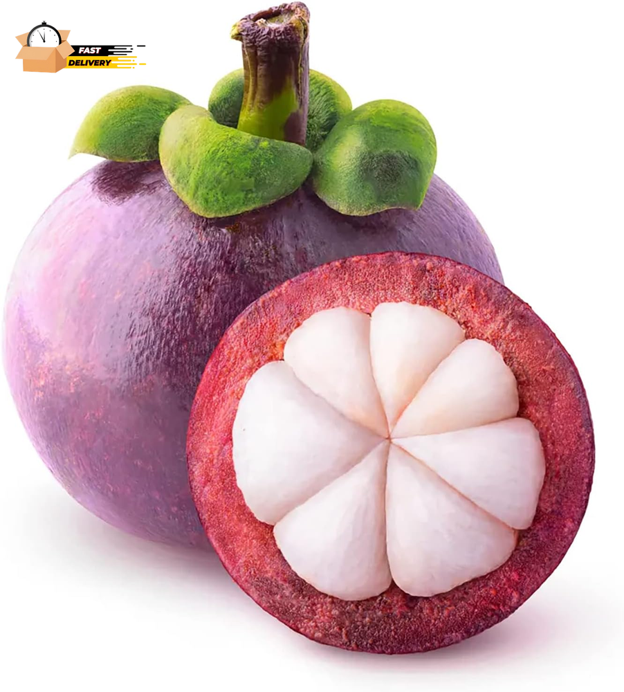 YEGAOL GARDEN 90Pcs Mangosteen Seeds Sweet Evergreen GMO Free Tropical Fruit See