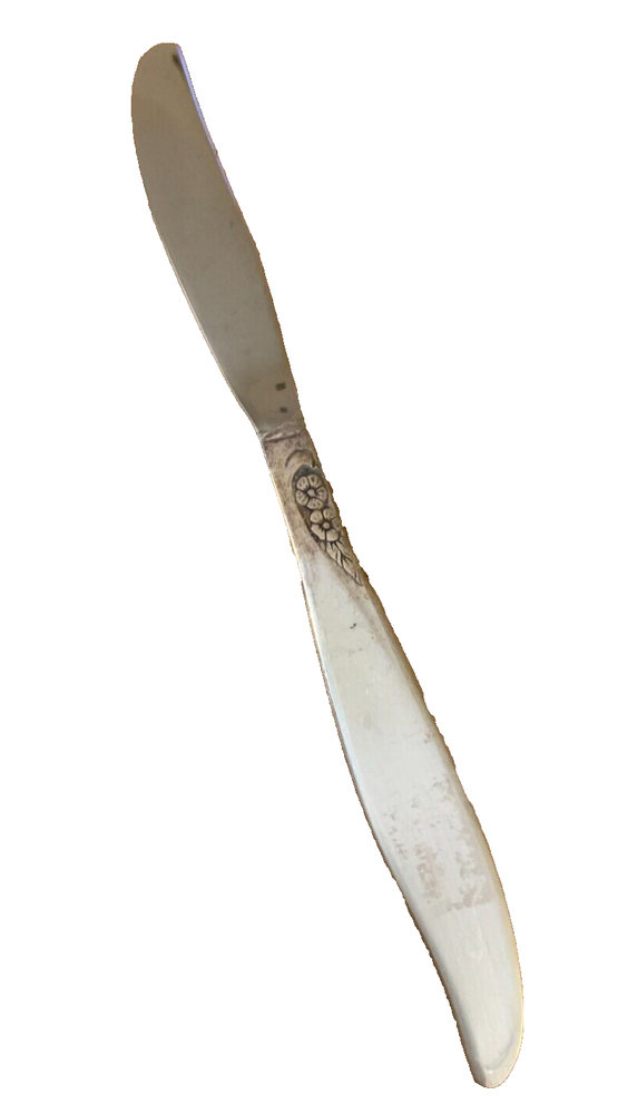 1959 Winsome Oneida Community Solid Knife Silver Plated Utensil Set
