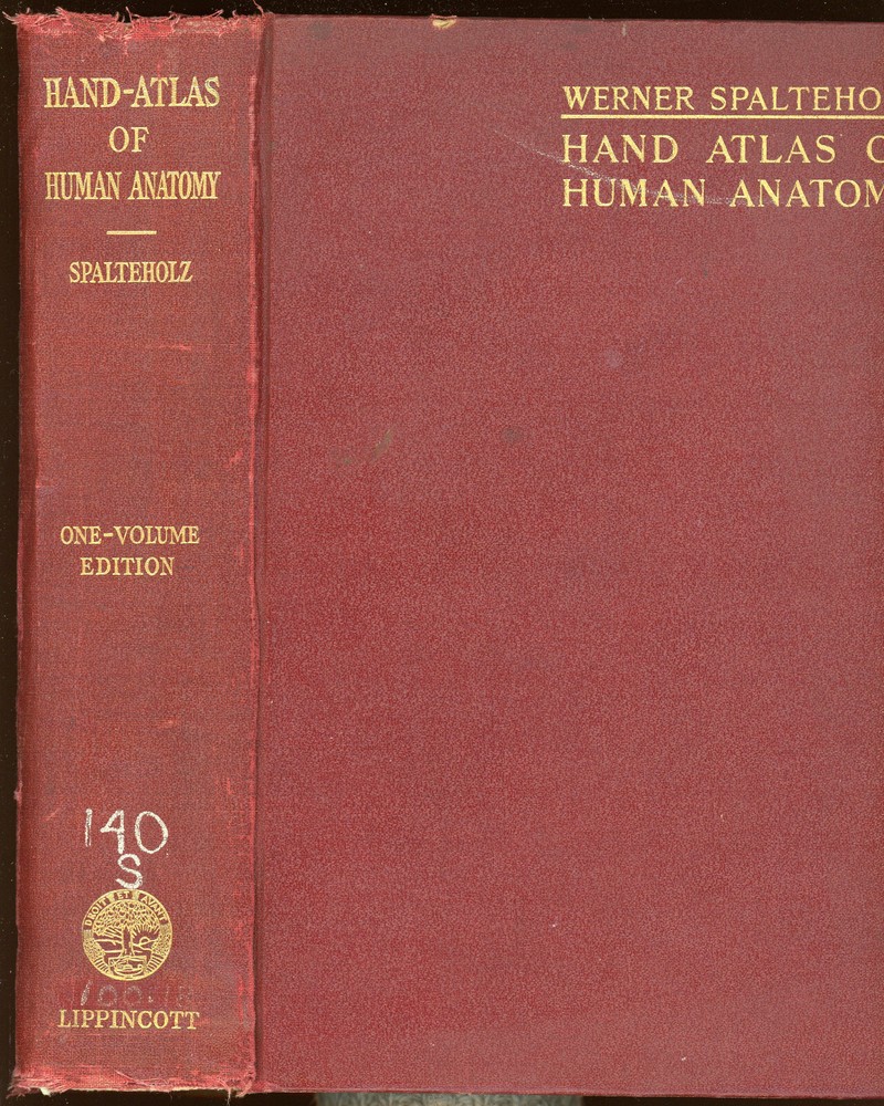 vintage Medical: HAND-ATLAS OF HUMAN ANATOMY by Spalteholz.