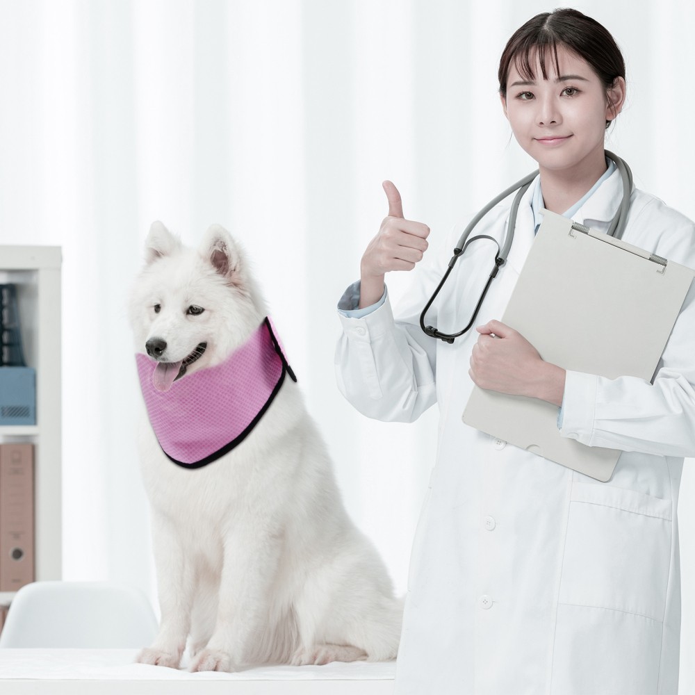 Pet Cool Scarf Ice Cooling Bandana Towel Dog Neck Wrap Towels for Dogs