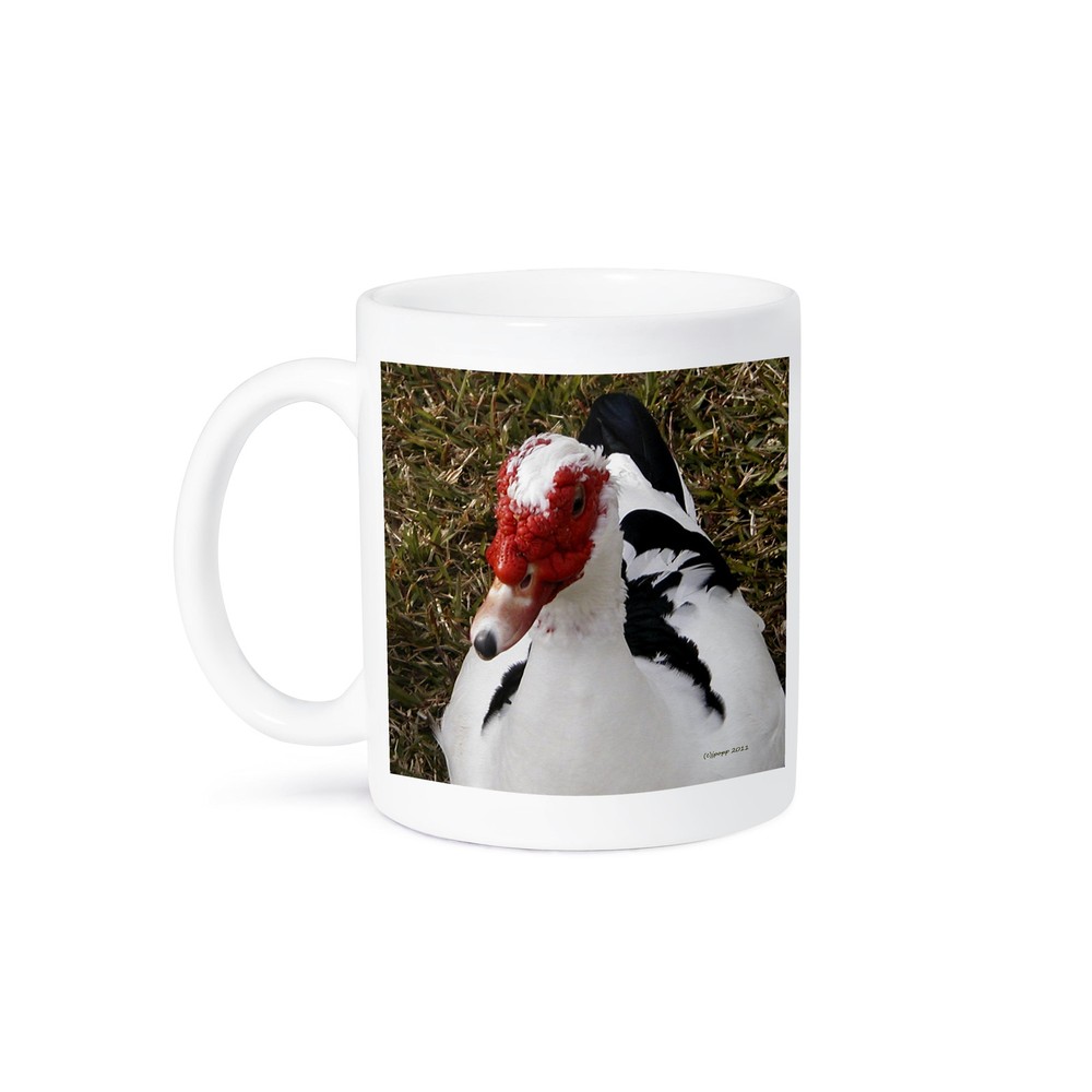 3dRose Muscovy Duck Design Coffee Mug